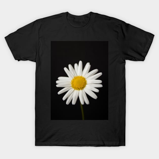 Hello beautiful daisy T-Shirt by Drawingbreaks